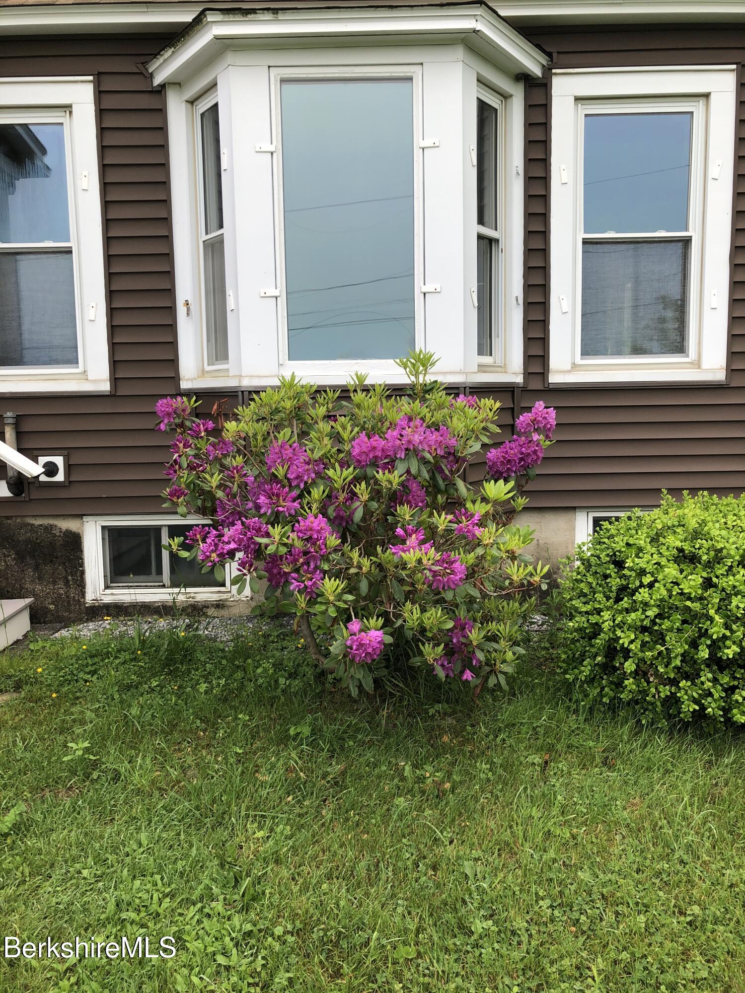 860 Stratton Road Williamstown, MA 01267 - Photo 50 of 63 Rhododendron (1)
