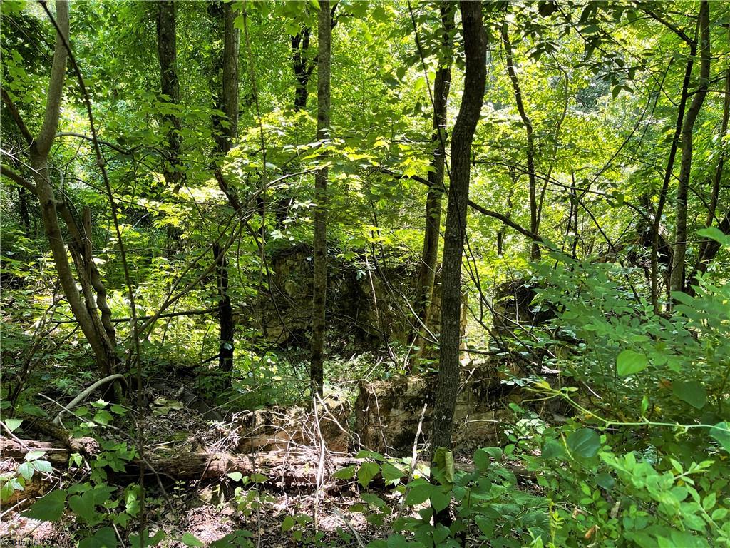Tbd Old Orchard Road Moravian Falls, NC 28654 - Photo 3 of 5 Gallery Image 3