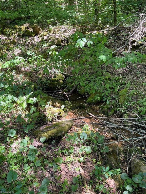 Tbd Old Orchard Road Moravian Falls, NC 28654 - Photo 5 of 5 Gallery Image 5