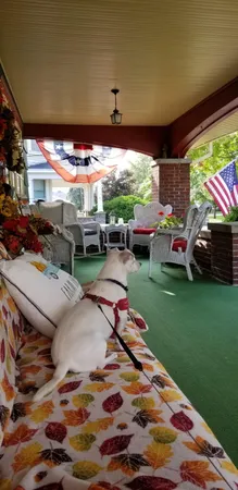 $255,000 | 106 East Mechanic Street, Yale, MI 48097