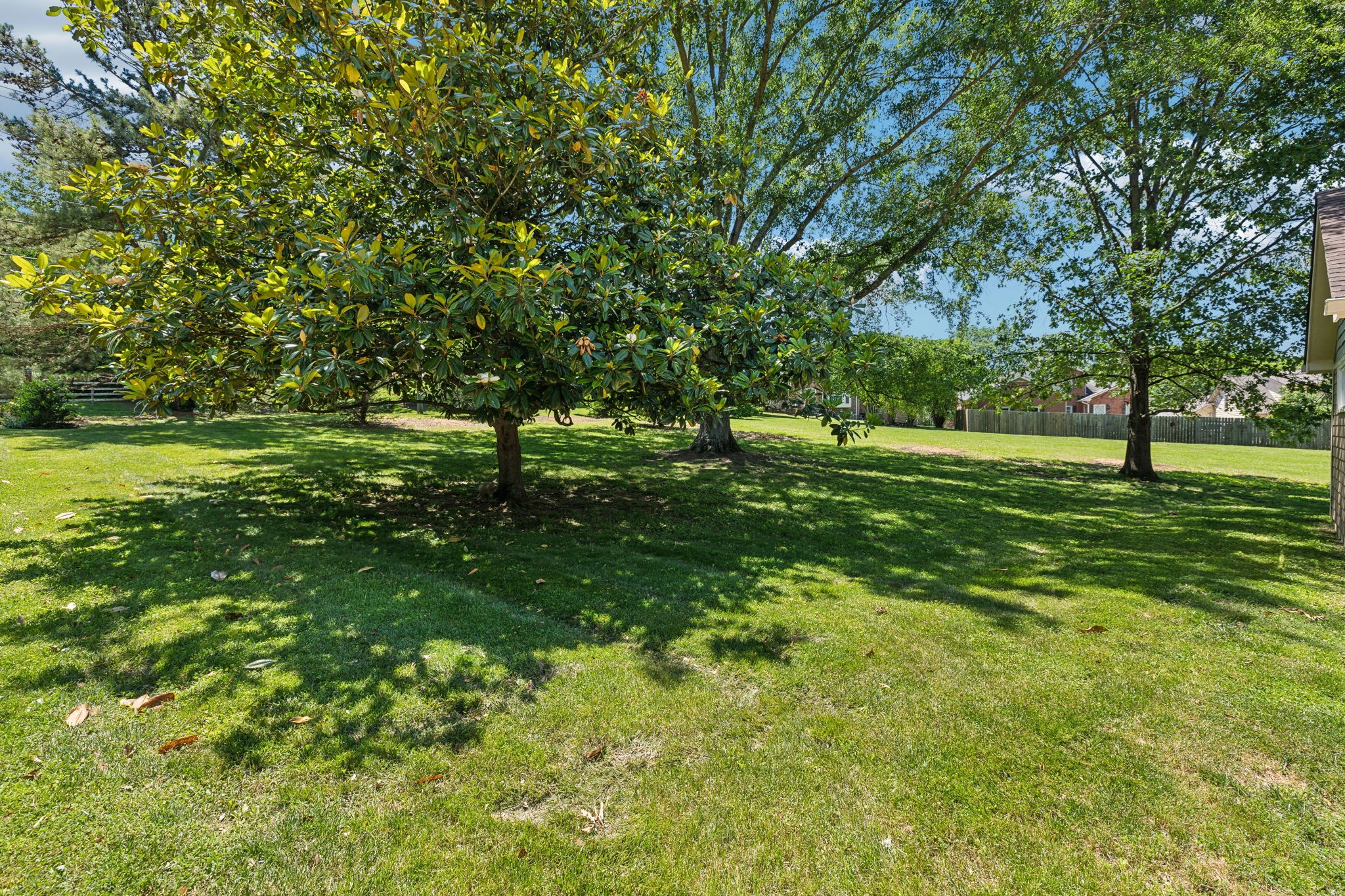 8166 Poplar Creek Road Nashville, TN 37221 - Photo 8 of 63 a big yard with lots of green space and deers