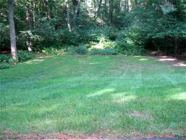 71 Fox Run Road Sudbury, MA 01776 - Photo 29 of 30