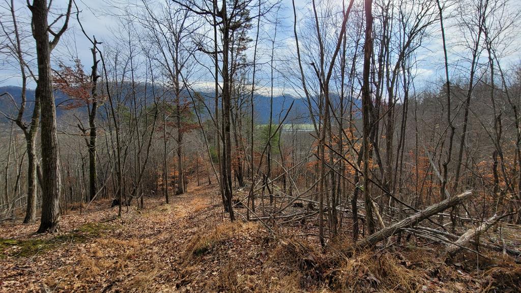 Tbd Mendota Road, Unit 5 & 6 Abingdon, VA 24210 - Photo 34 of 42 Gallery Image 34