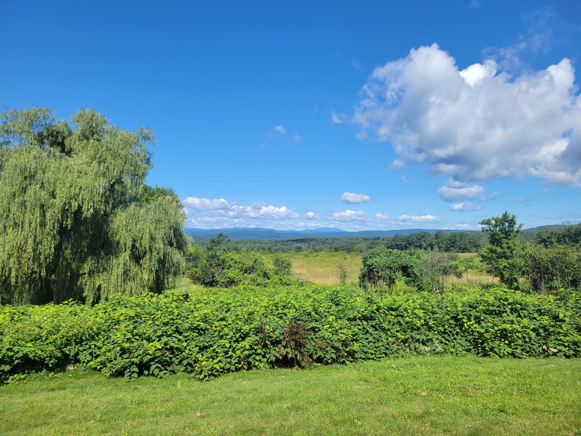 477 Highway 63 Chesterfield, NH 03443 - Photo 1 of 5