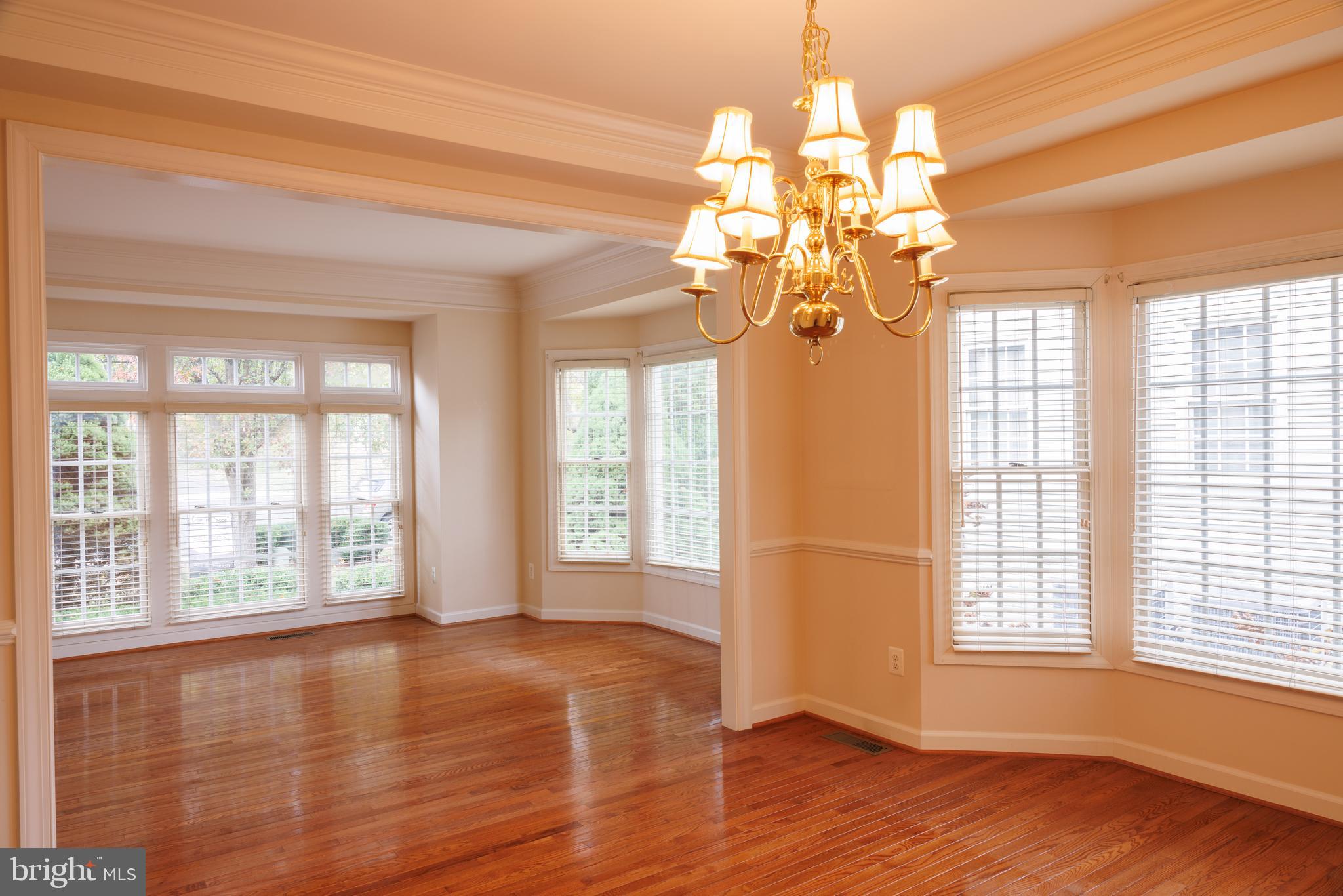 8623 James Creek Drive Springfield, VA 22152 - Photo 11 of 69 a view of livingroom with window