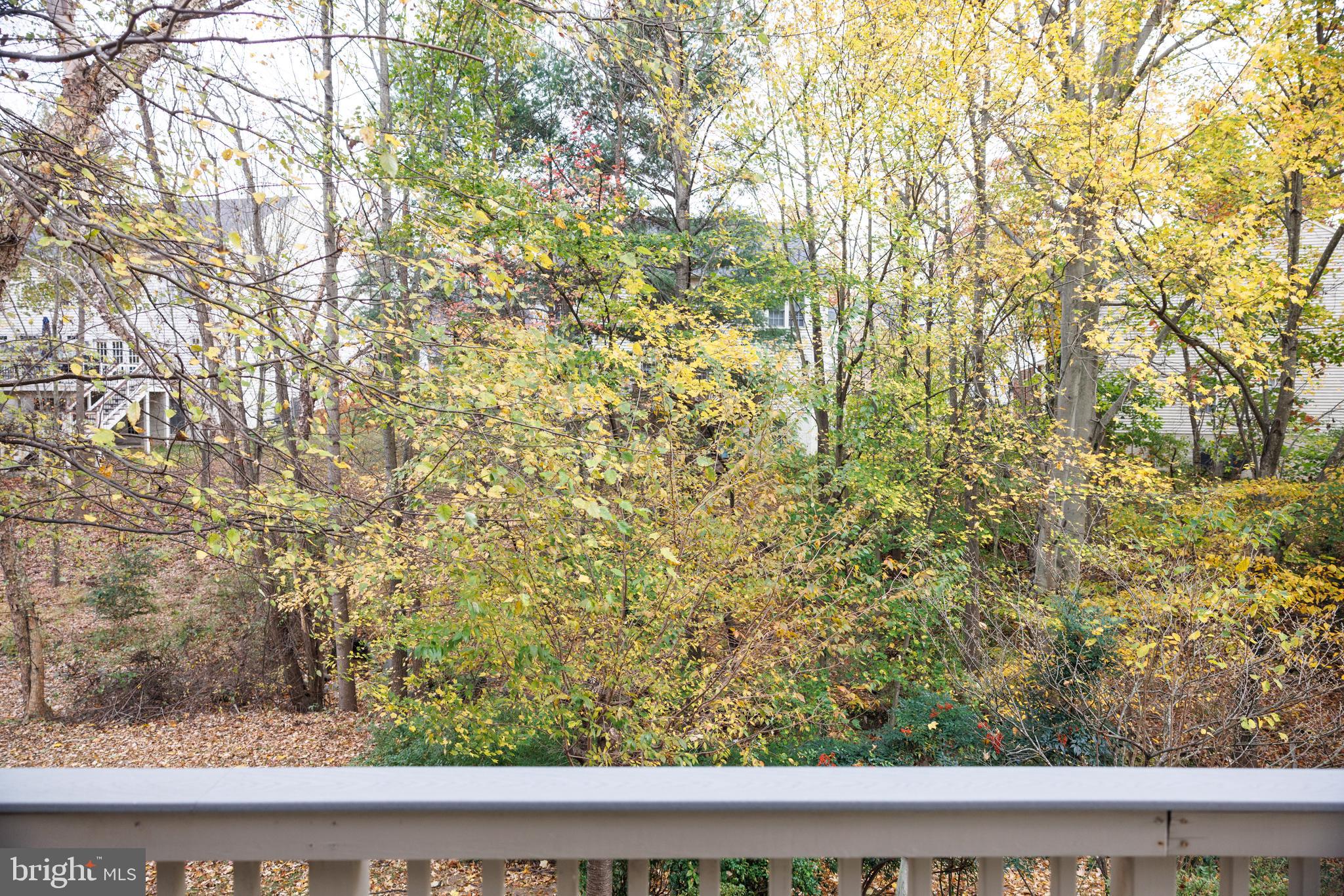 8623 James Creek Drive Springfield, VA 22152 - Photo 27 of 69 a view of a yard from a window