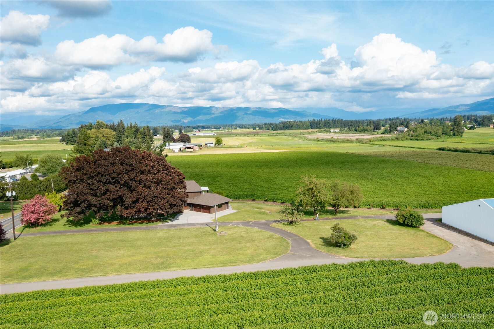 1133 East Pole Road Everson, WA 98247 - Photo 38 of 40 a view of a lake with a houses