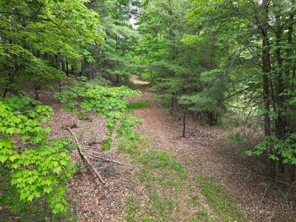 22 Elk Ridge Road Ferguson, NC 28624 - Photo 6 of 16 a big yard with lots of green space and deers
