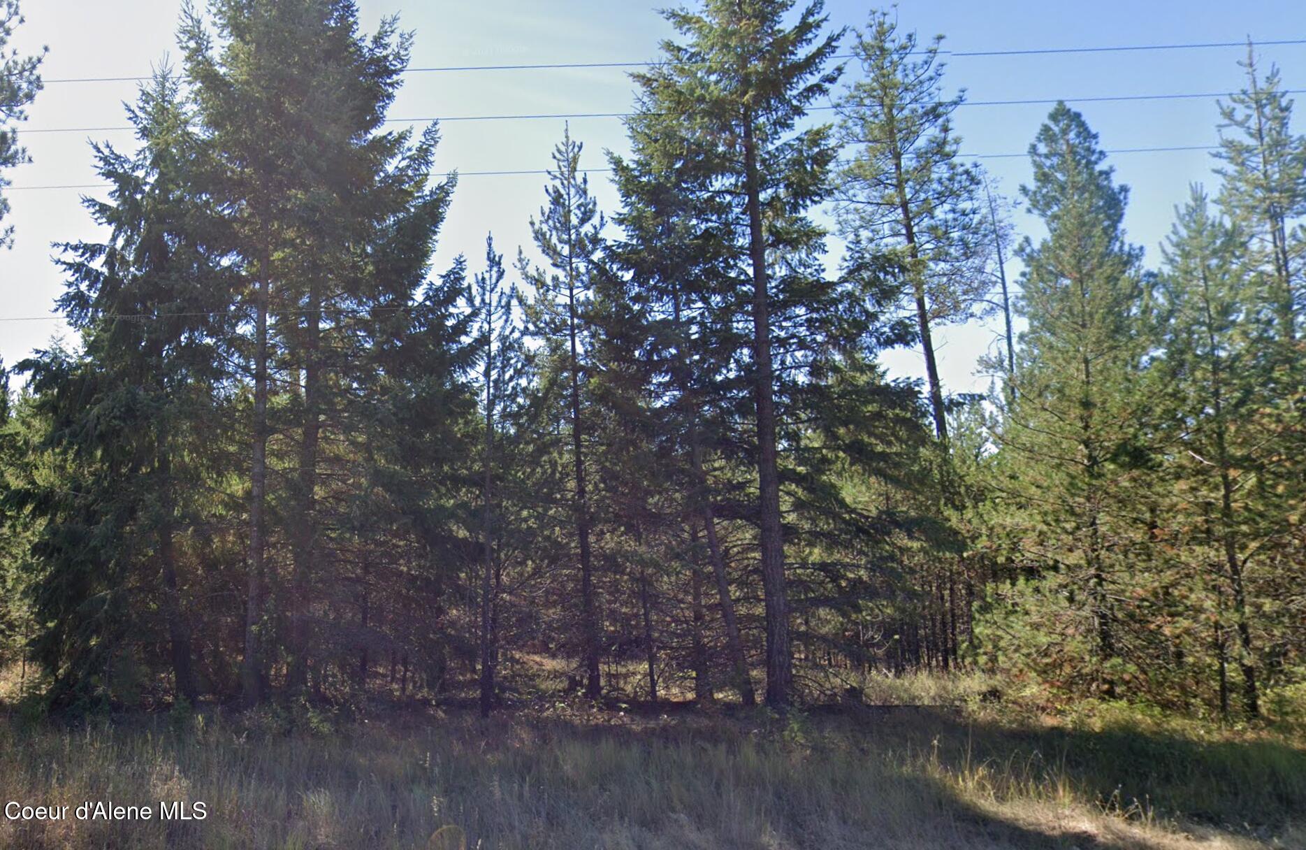755 Tweedie Road Blanchard, ID 83804 - Photo 3 of 3 50-4