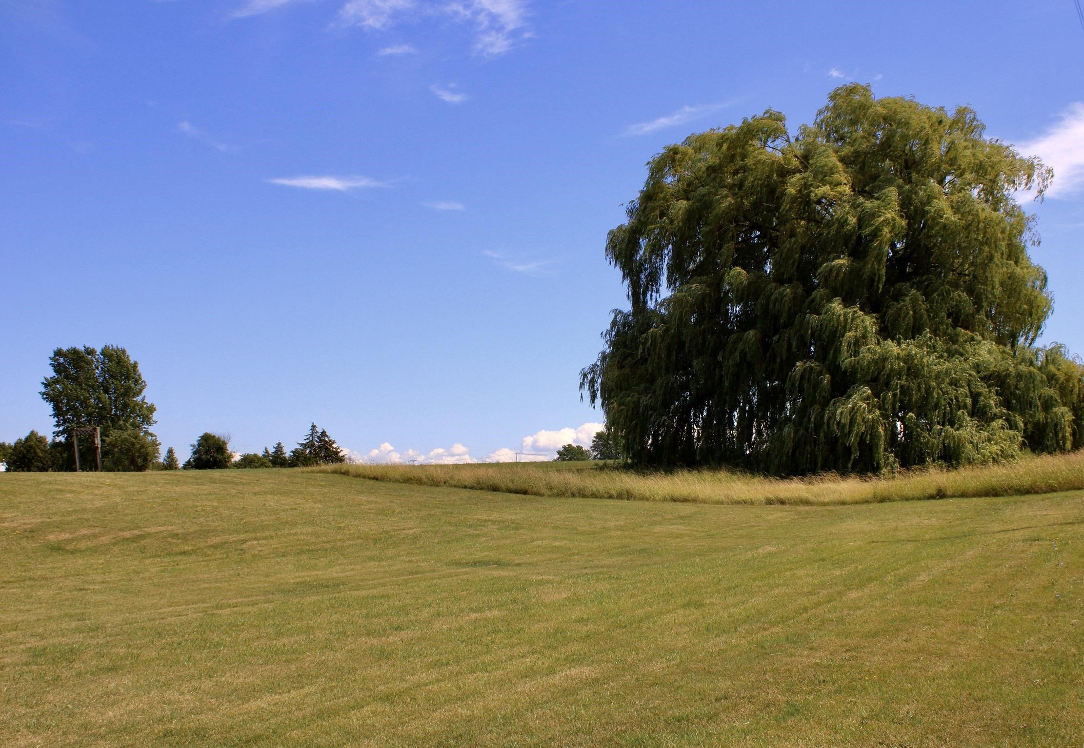 208 Gage Road Addison, VT 05491 - Photo 22 of 24