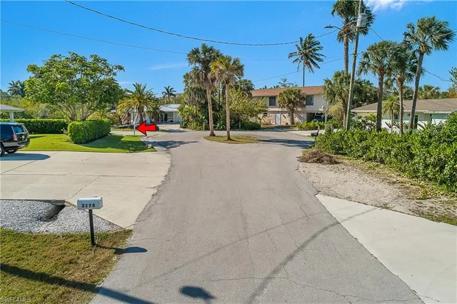 a view of a garden with palm trees