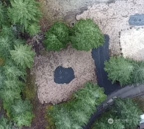 9999 Mallard Cove Road Port Angeles, WA 98363 - Photo 11 of 15 a aerial view of a house with a yard and large trees