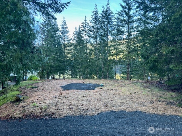 9999 Mallard Cove Road Port Angeles, WA 98363 - Photo 2 of 15 a view of a yard with a tree