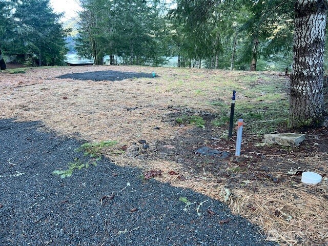 9999 Mallard Cove Road Port Angeles, WA 98363 - Photo 3 of 15 a view of a yard with a tree