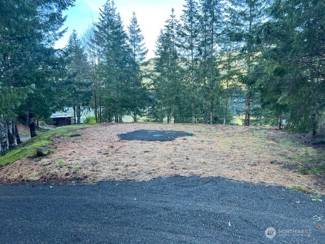 9999 Mallard Cove Road Port Angeles, WA 98363 - Photo 7 of 15 a view of outdoor space with trees
