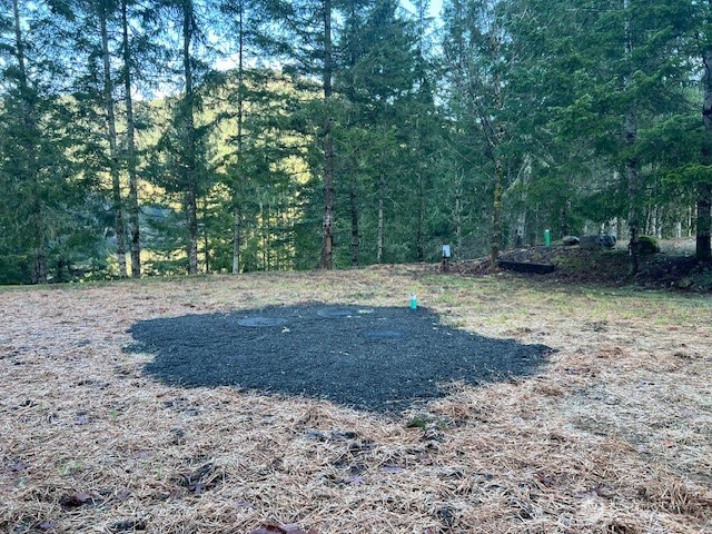 9999 Mallard Cove Road Port Angeles, WA 98363 - Photo 8 of 15 a view of a backyard with trees