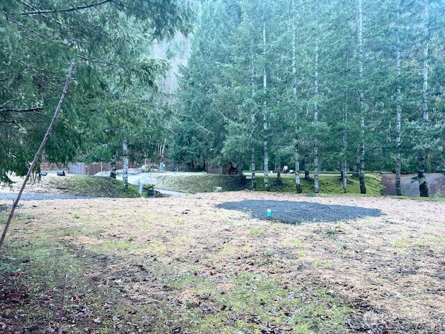 9999 Mallard Cove Road Port Angeles, WA 98363 - Photo 9 of 15 a view of a yard with plants and trees