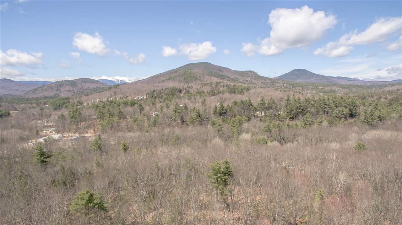 East Branch Road, Unit 1 Intervale, NH 03845 - Photo 1 of 18