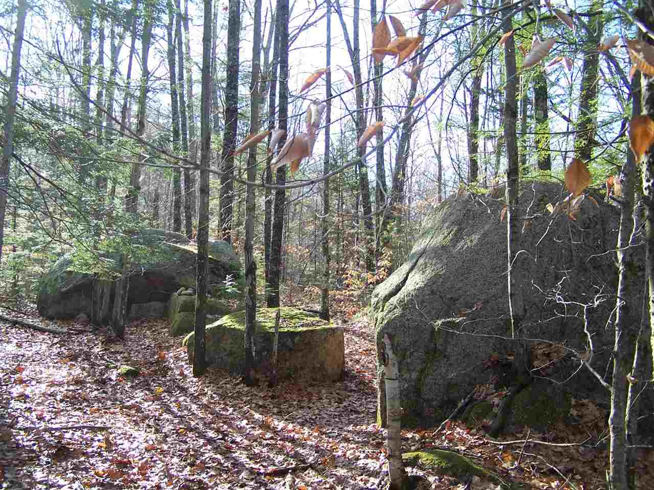 East Branch Road, Unit 1 Intervale, NH 03845 - Photo 12 of 18