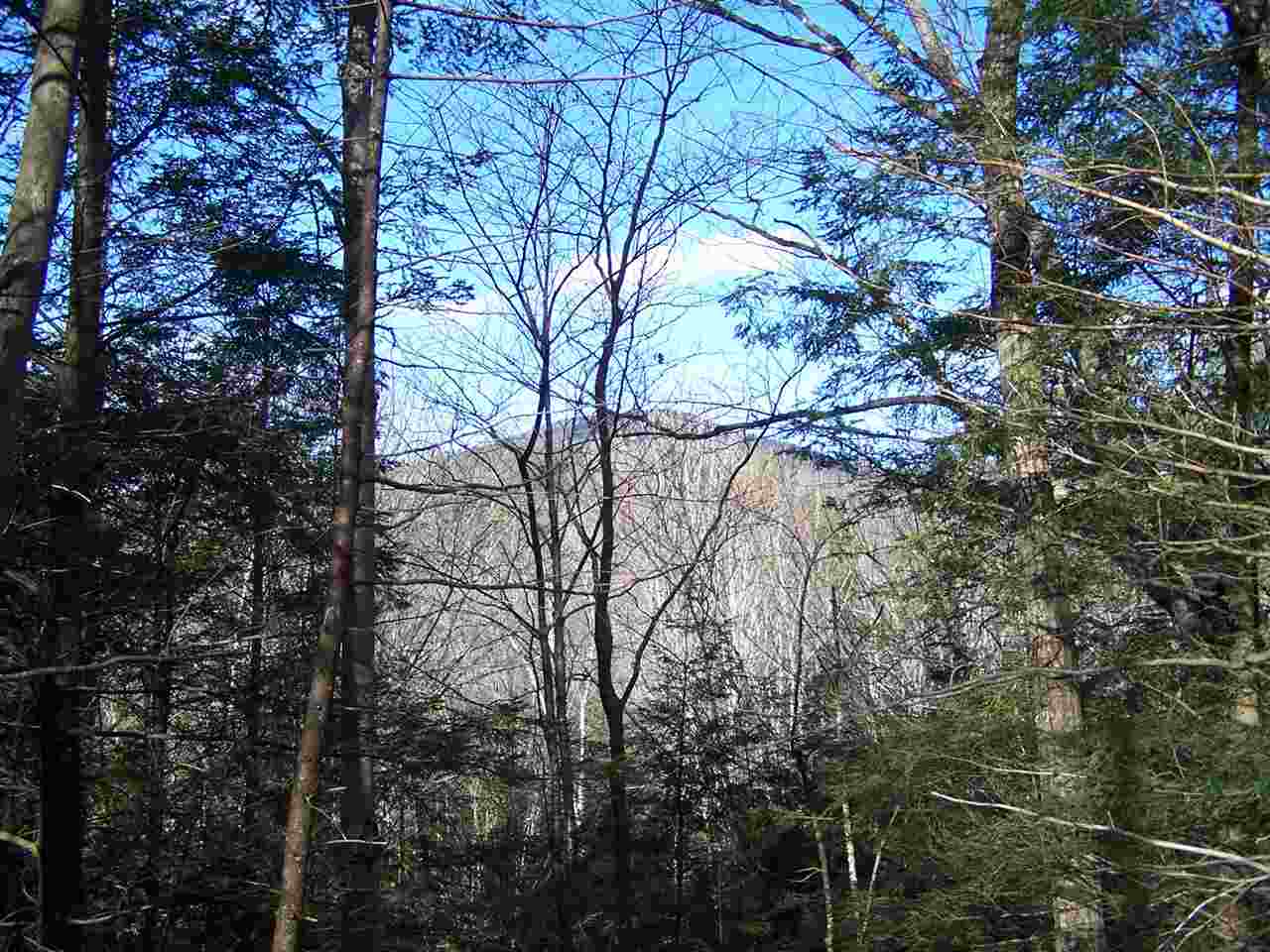 East Branch Road, Unit 1 Intervale, NH 03845 - Photo 13 of 18
