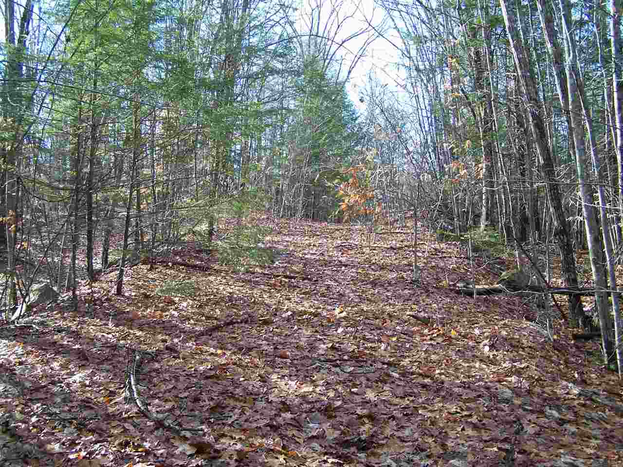 East Branch Road, Unit 1 Intervale, NH 03845 - Photo 14 of 18
