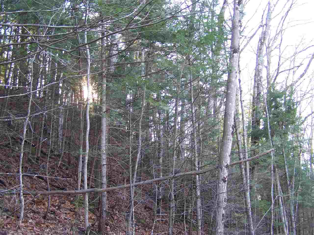 East Branch Road, Unit 1 Intervale, NH 03845 - Photo 18 of 18