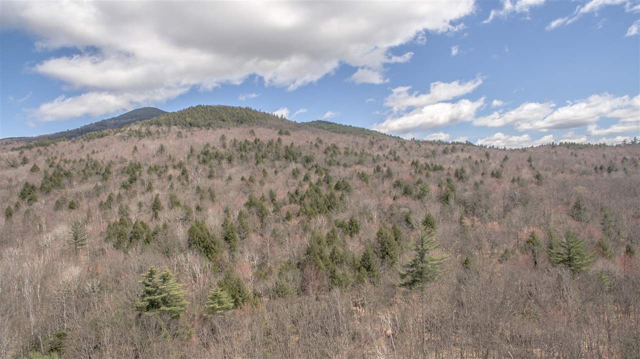 East Branch Road, Unit 1 Intervale, NH 03845 - Photo 3 of 18