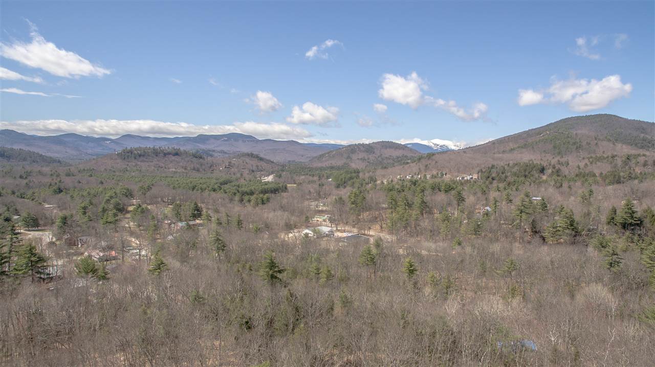 East Branch Road, Unit 1 Intervale, NH 03845 - Photo 5 of 18