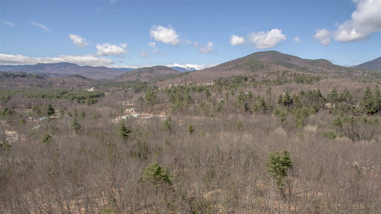 East Branch Road, Unit 1 Intervale, NH 03845 - Photo 7 of 18