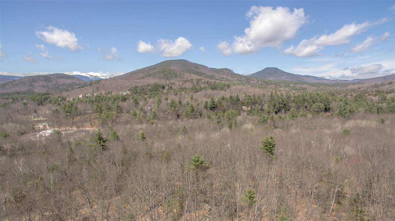 East Branch Road, Unit 1 Intervale, NH 03845 - Photo 8 of 18
