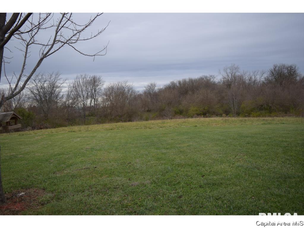 1240 Merritt Road Jacksonville, IL 62650 - Photo 4 of 36 Gallery Image 4