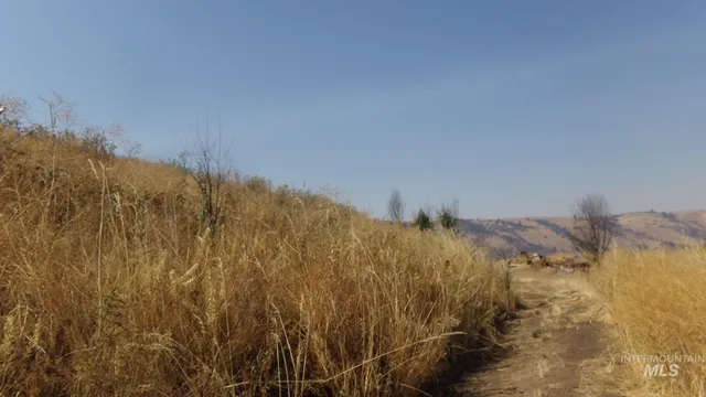 $99,000 | 29634 Wild Plum Lane, Culdesac, ID 83524