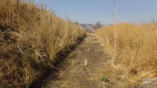 $99,000 | 29634 Wild Plum Lane, Culdesac, ID 83524