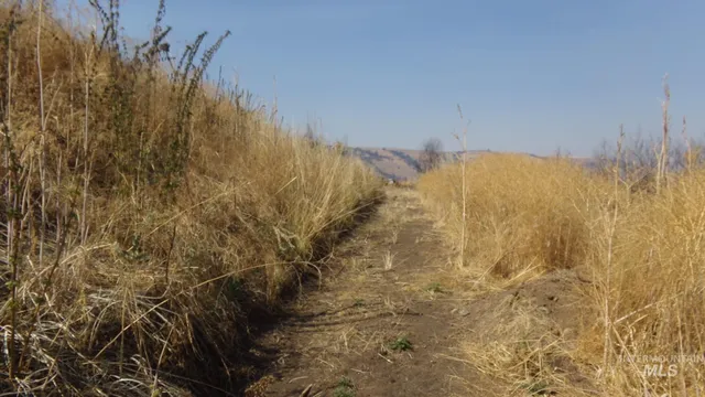 $99,000 | 29634 Wild Plum Lane, Culdesac, ID 83524