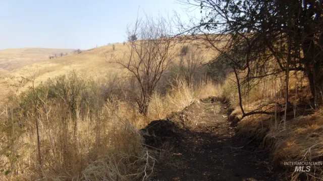 $99,000 | 29634 Wild Plum Lane, Culdesac, ID 83524