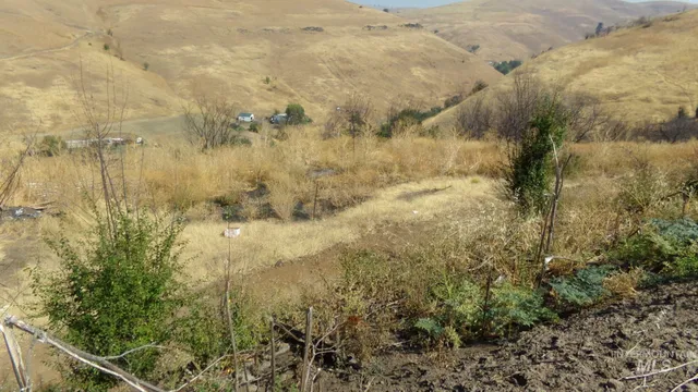 $99,000 | 29634 Wild Plum Lane, Culdesac, ID 83524