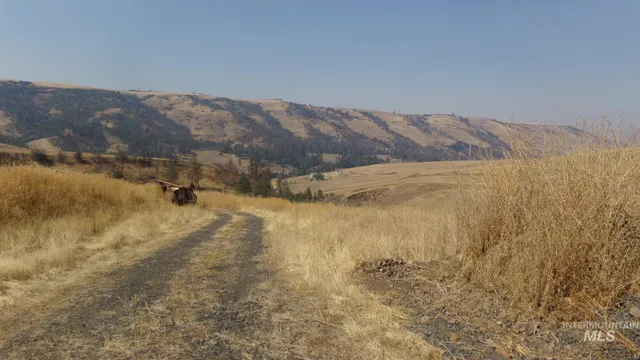 $99,000 | 29634 Wild Plum Lane, Culdesac, ID 83524