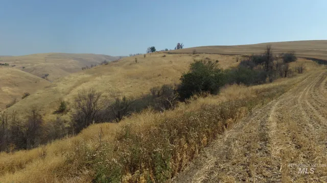 $99,000 | 29634 Wild Plum Lane, Culdesac, ID 83524