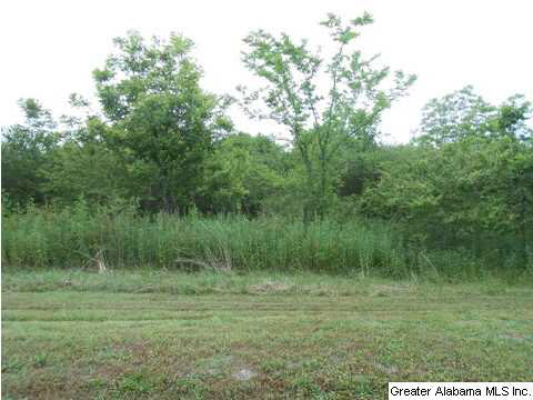 Black Road, Unit 10 Blountsville, AL 35031 - Photo 1 of 3