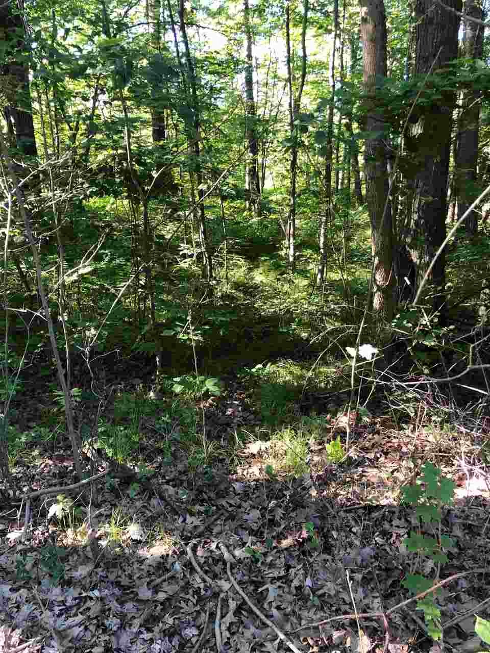 6170 Edgar Road Vestaburg, MI 48891 - Photo 33 of 35 1877848-32.JPG