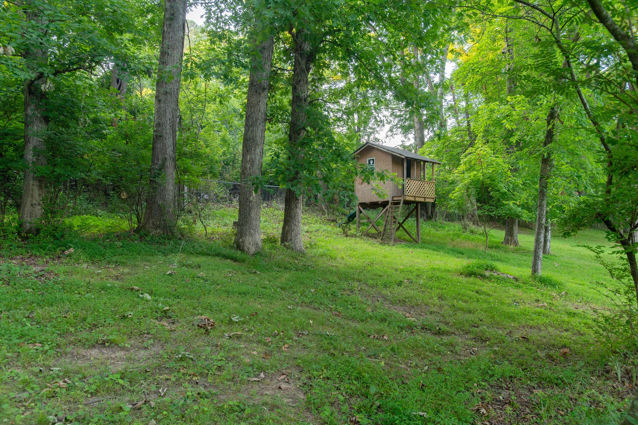 916 Green Valley Road Mount Juliet, TN 37122 - Photo 34 of 35 Tree house for outdoor experience