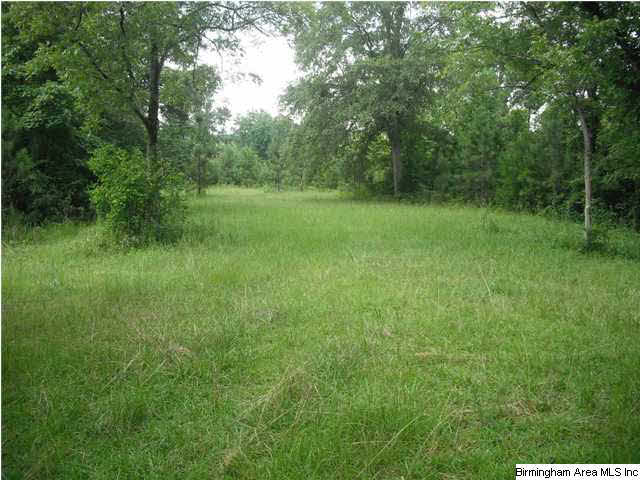 Sardis Road, Unit 1 Lineville, AL 36266 - Photo 3 of 22