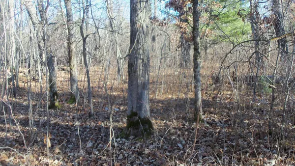 $64,900 | Lot 2 Ferry Road, Grantsburg, WI 54840