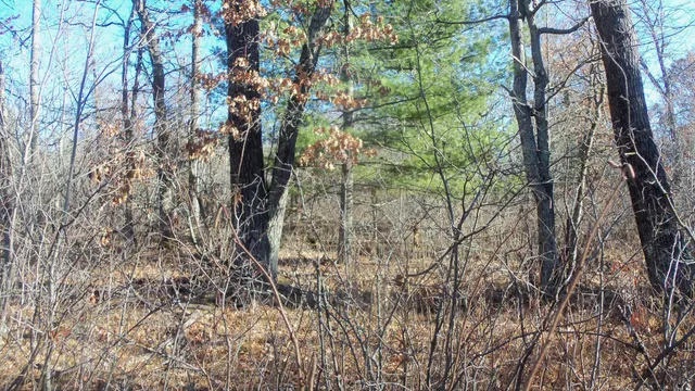 $64,900 | Lot 2 Ferry Road, Grantsburg, WI 54840