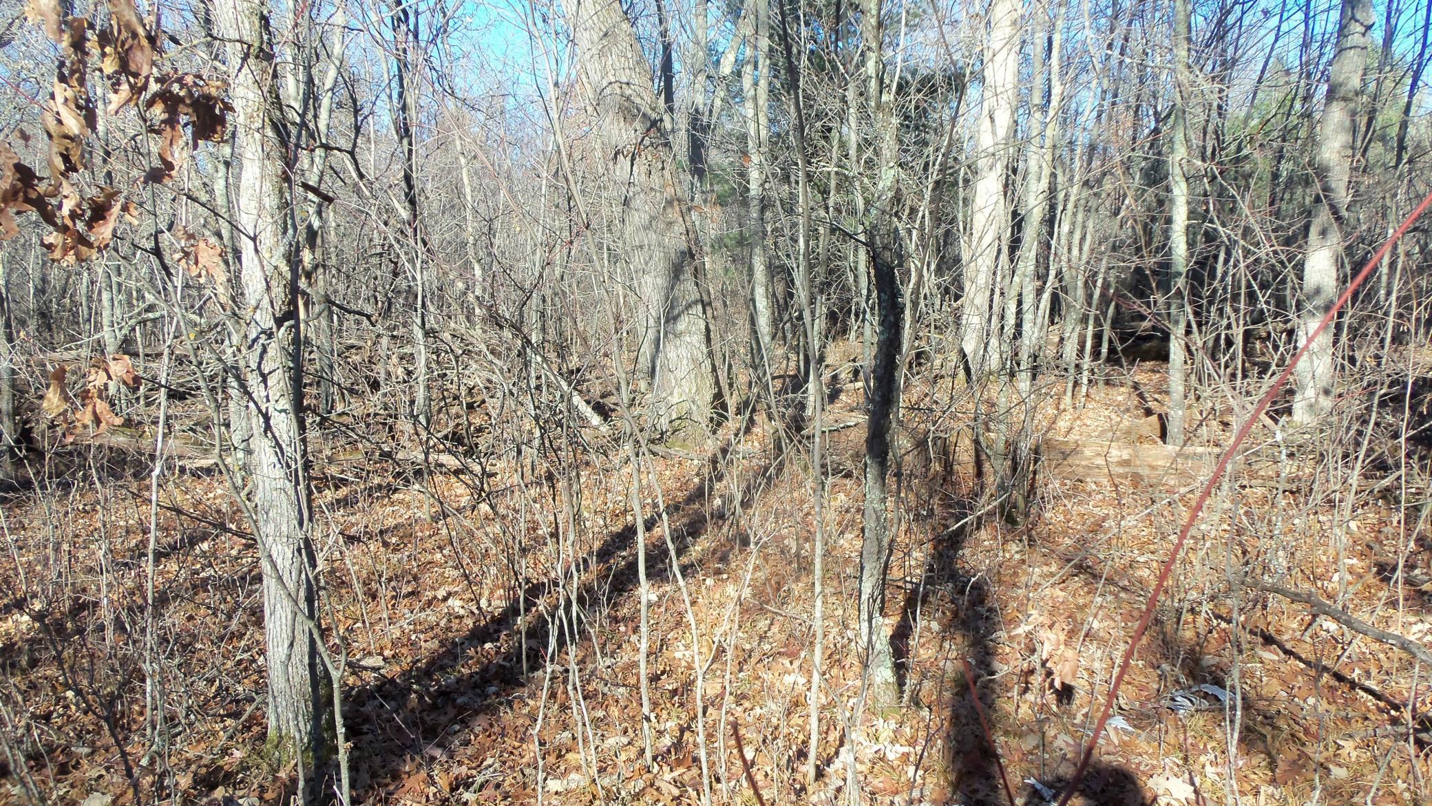 Lot 2 Ferry Road Grantsburg, WI 54840 - Photo 5 of 8