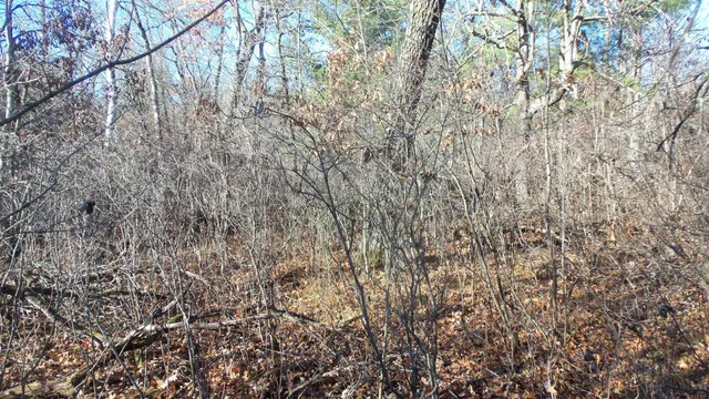 $64,900 | Lot 2 Ferry Road, Grantsburg, WI 54840