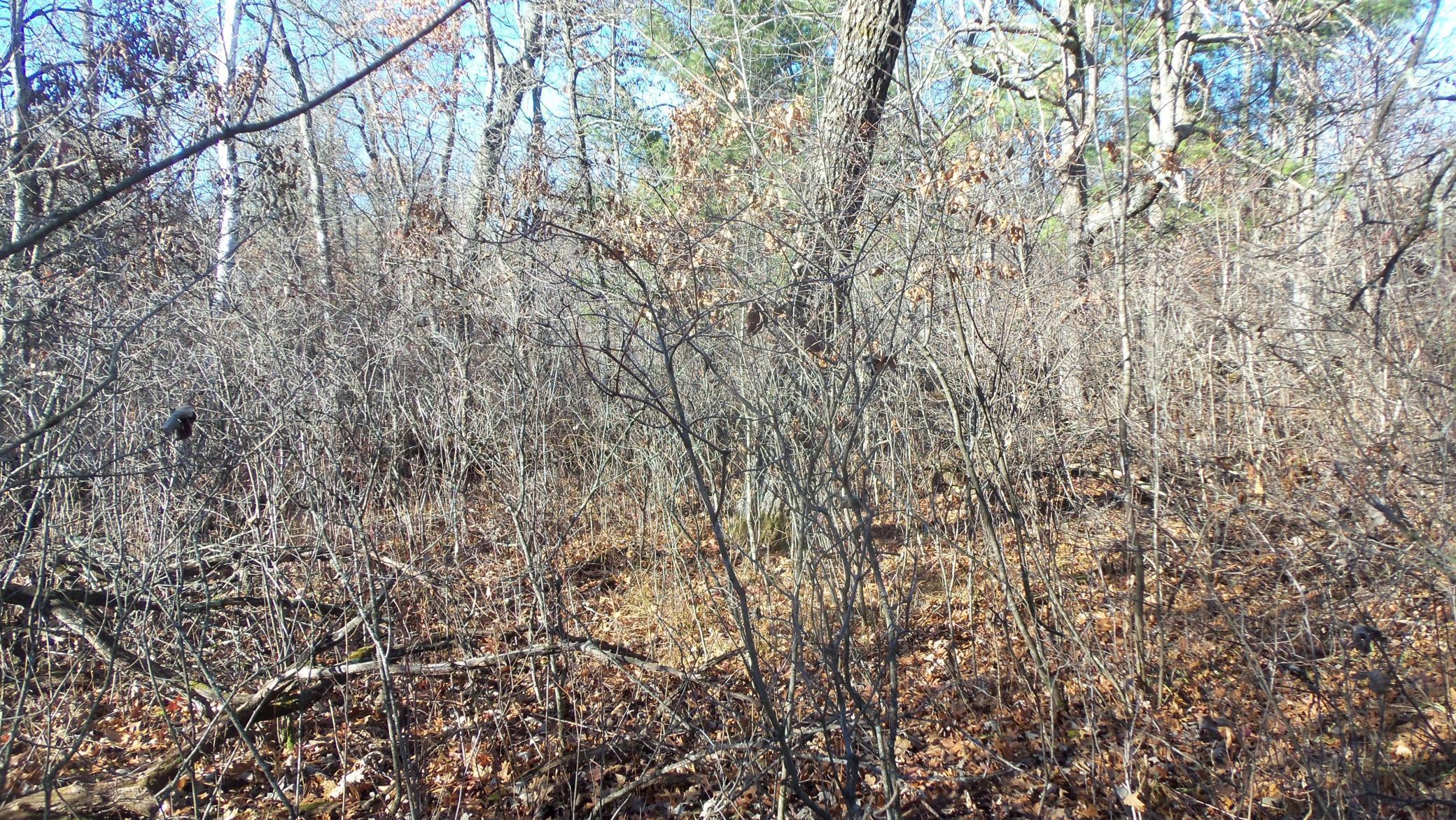 Lot 2 Ferry Road Grantsburg, WI 54840 - Photo 7 of 8