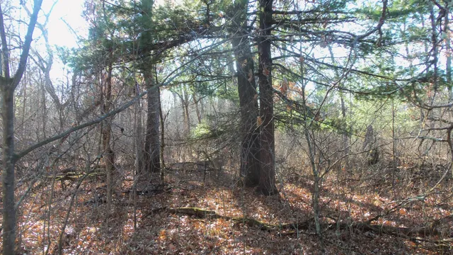 $64,900 | Lot 2 Ferry Road, Grantsburg, WI 54840