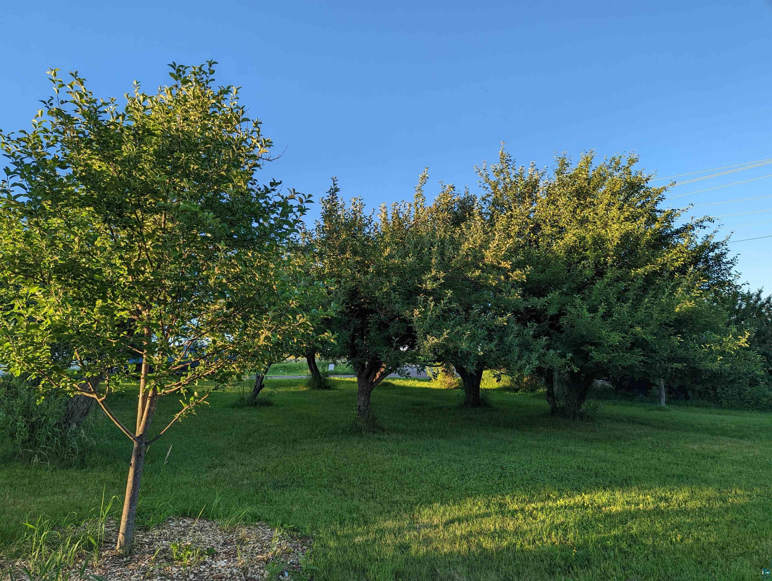 4233 Solway Road Duluth, MN 55810 - Photo 39 of 50