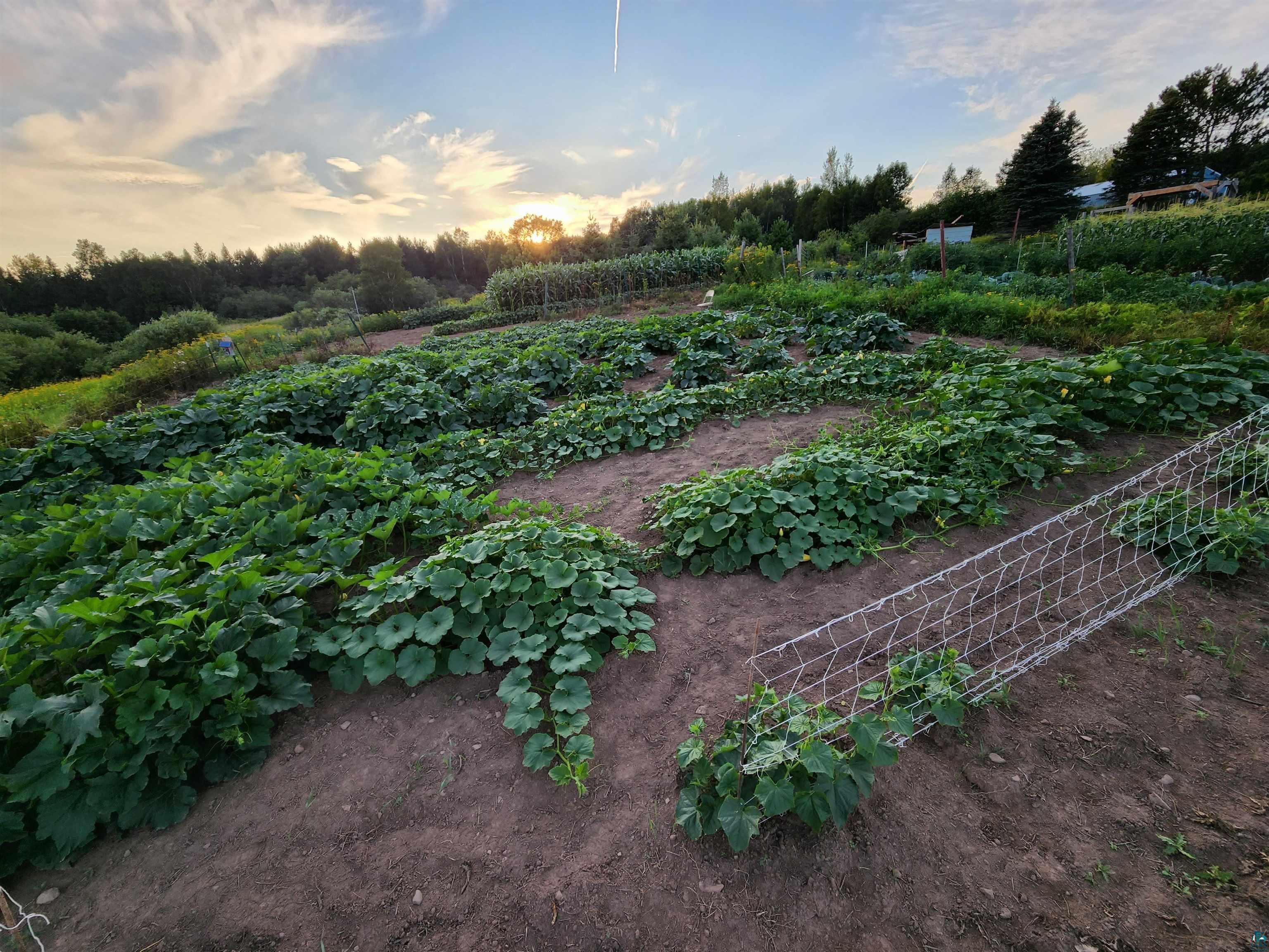 4233 Solway Road Duluth, MN 55810 - Photo 41 of 50